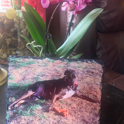 Personalized Rock Photo Slate 8in x 6in Add A Photo