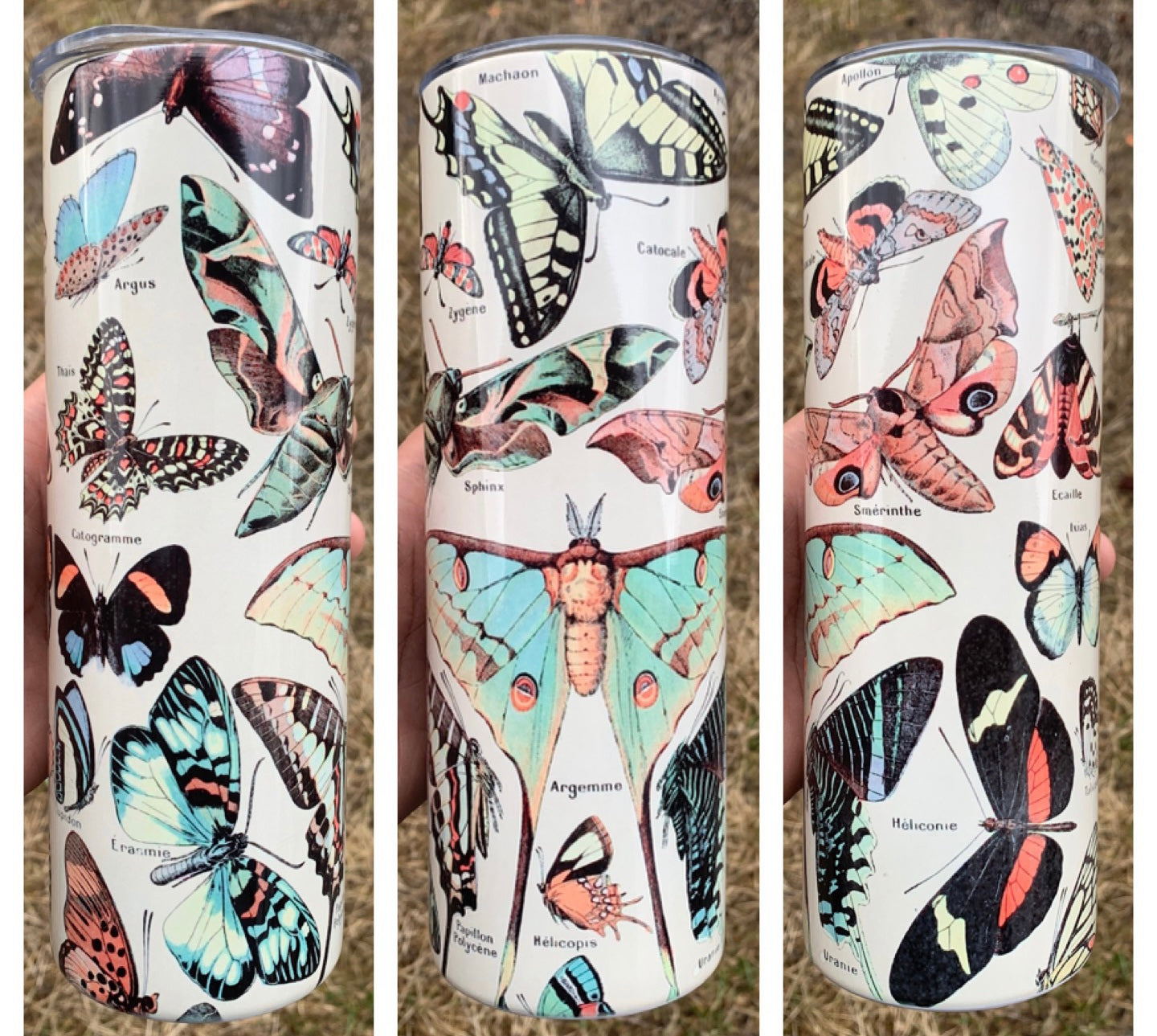 The Vintage Butterfly & Moth Steel Tumbler